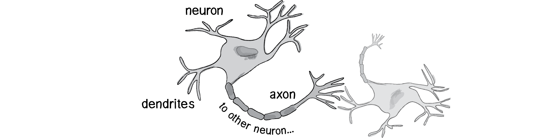 Figure 10.1