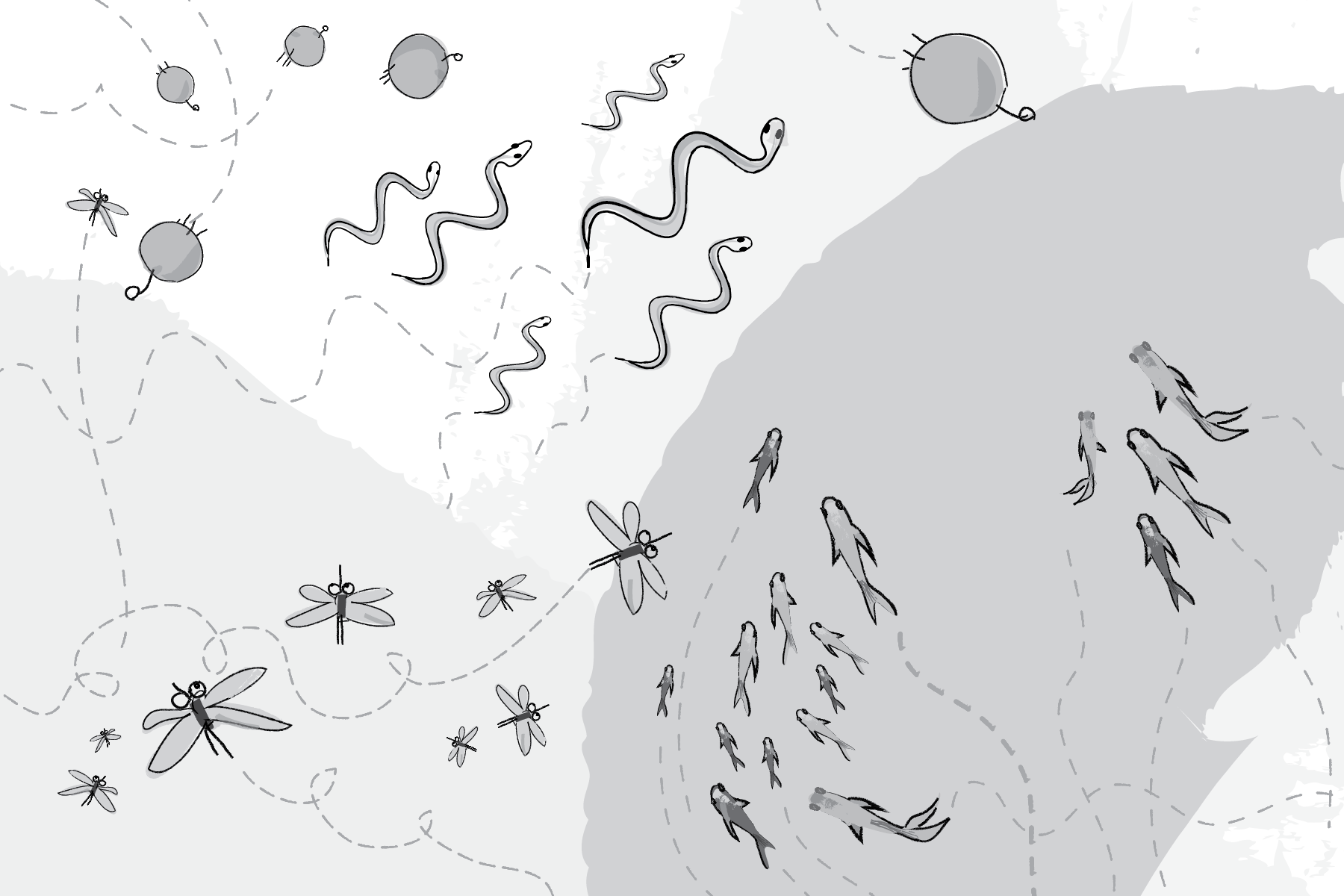 Figure 1.16: The Ecosystem Project